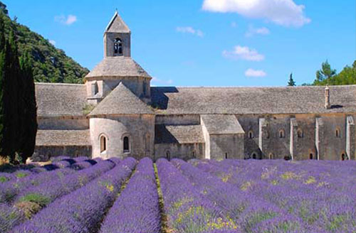 ABBAYE DE SÉNANQUE DÉBUT DES TRAVAUX DE SAUVEGARDE DE L'ÉGLISE