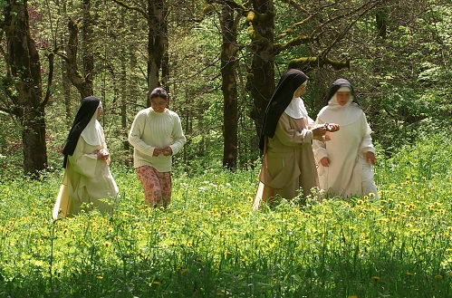 Les Amis des Monastères - La revue